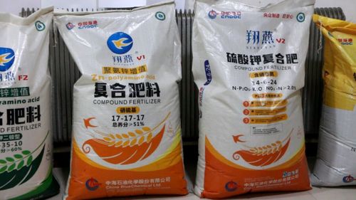 生物肥料與回頭客 富島翔燕驅動東北葡萄產業增值